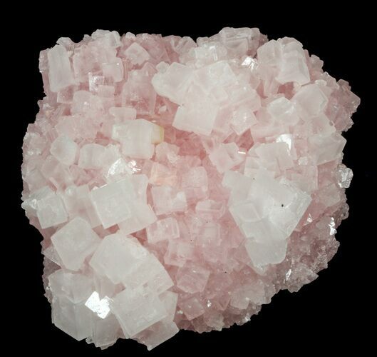 Pink Halite Crystal Plate - Trona, California #40548